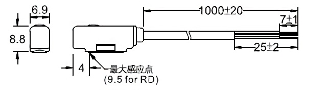 13P 13P