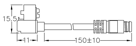 11r 11r
